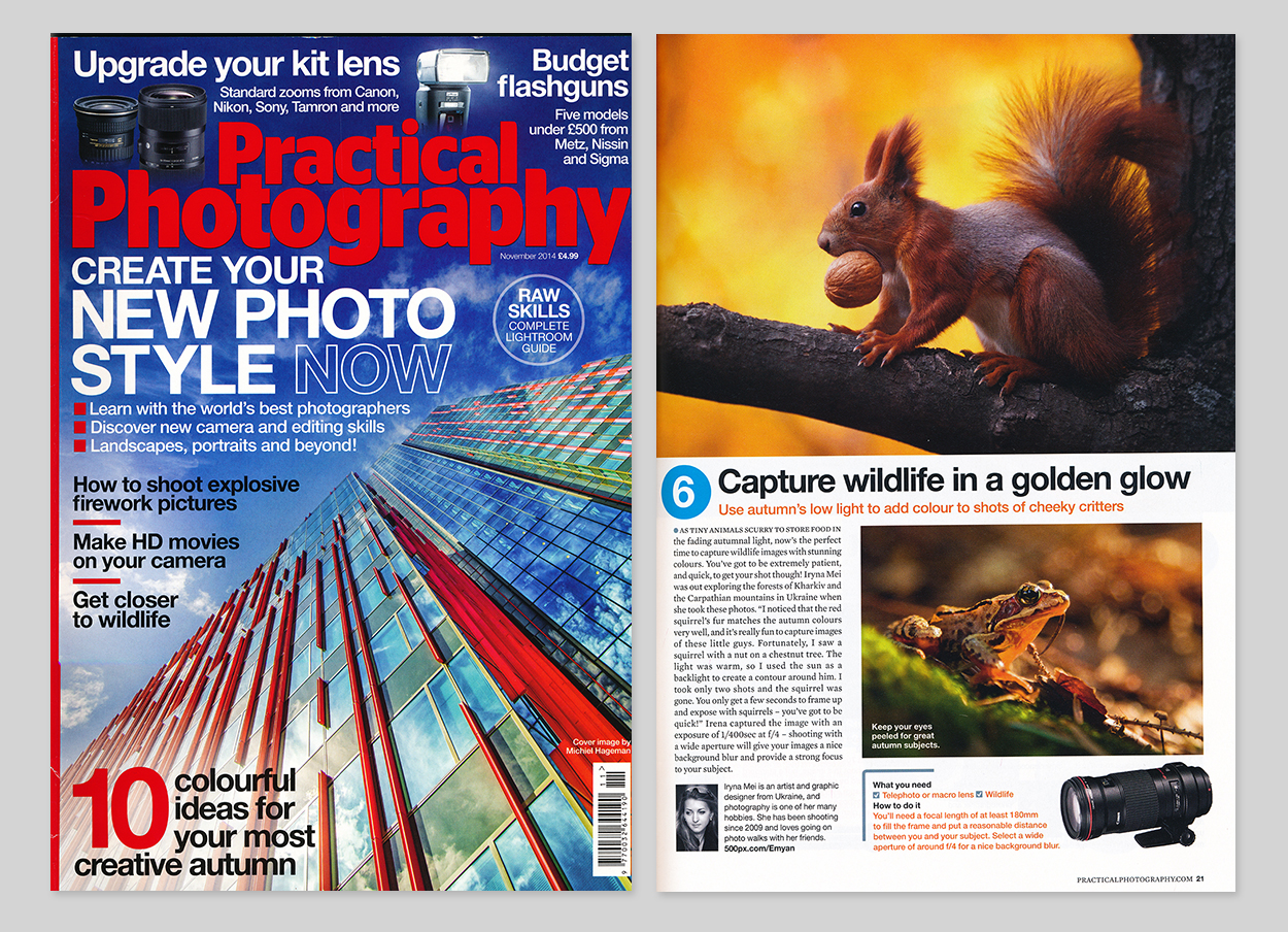 Practical Photography November 2014 “Wildlife in golden light”